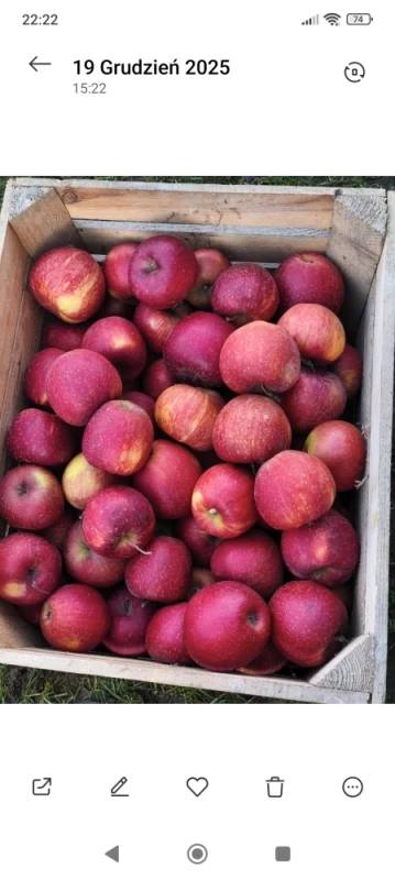 Smaczne jabłka i warzywa