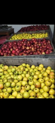 Sprzedam smaczne jabłka i warzywa ekologiczne