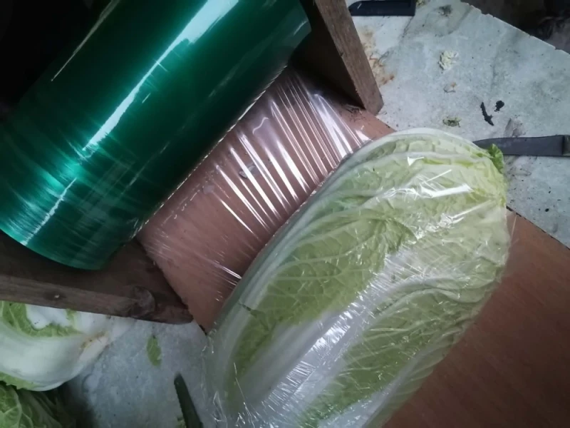 Kapusta pekińska Możliwość wysyłki