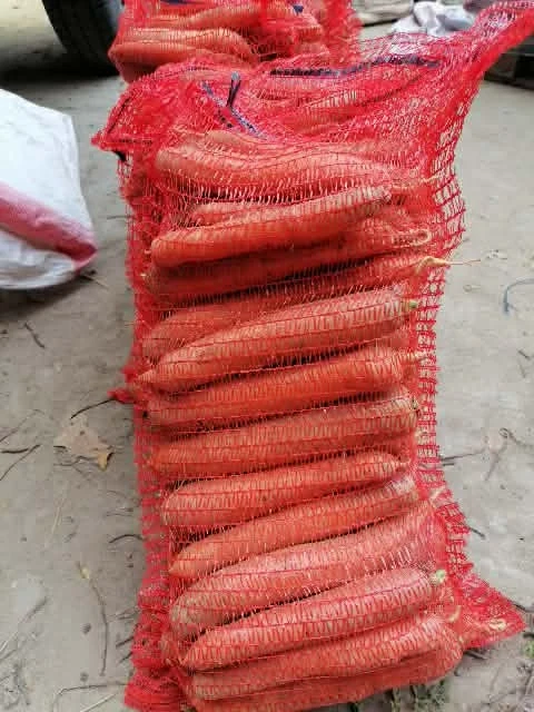 Marchew Możliwość wysyłki