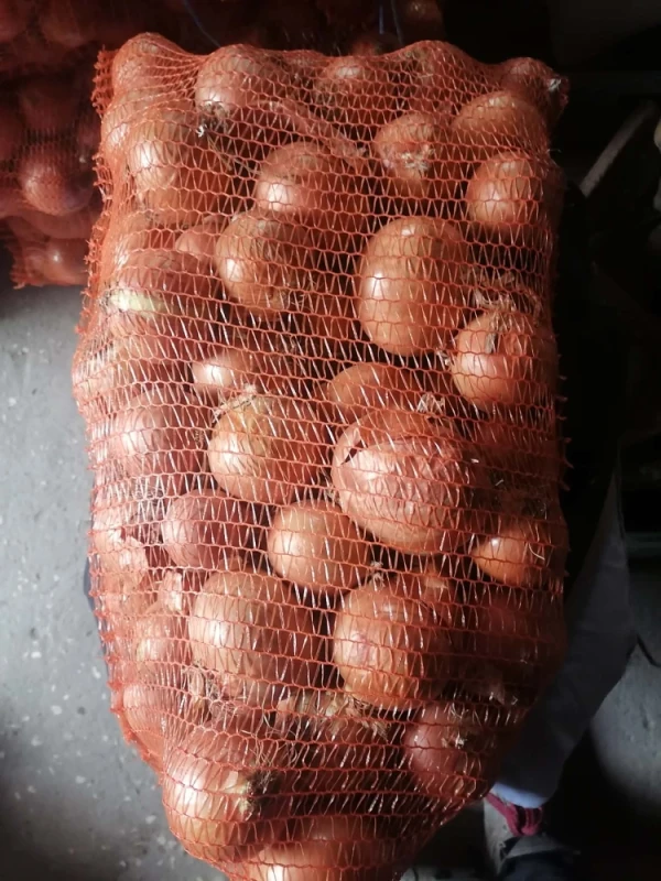 Cebula Możliwość wysyłki