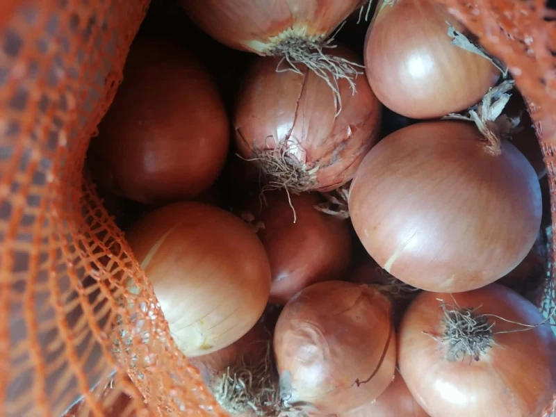 Cebula Możliwość wysyłki