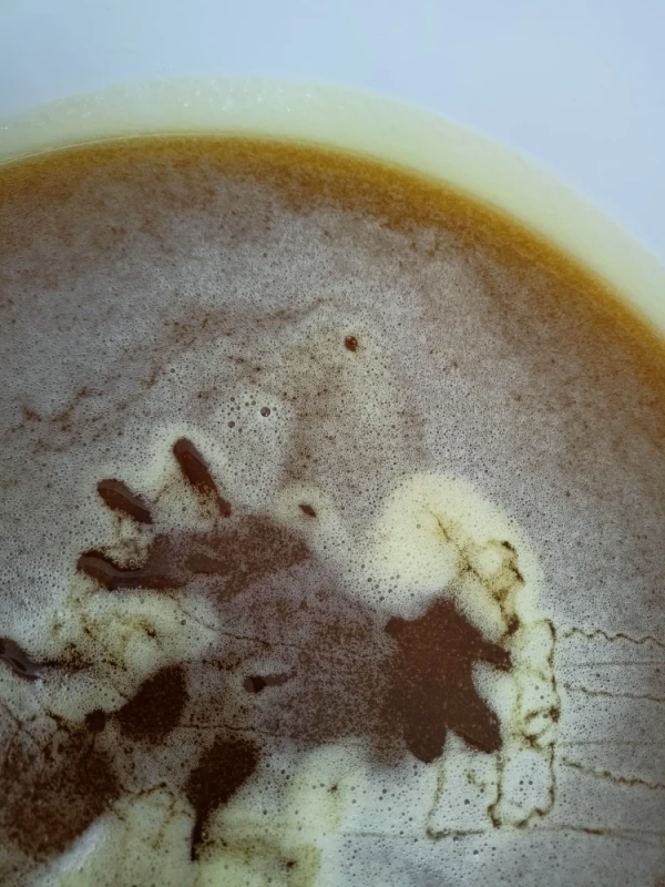 Miód spadziowo-nektarowy