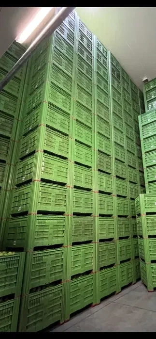 Skrzyniopalety plastikowe, Palbox 110FA, Logo Gratis 360 zł nettoVAT