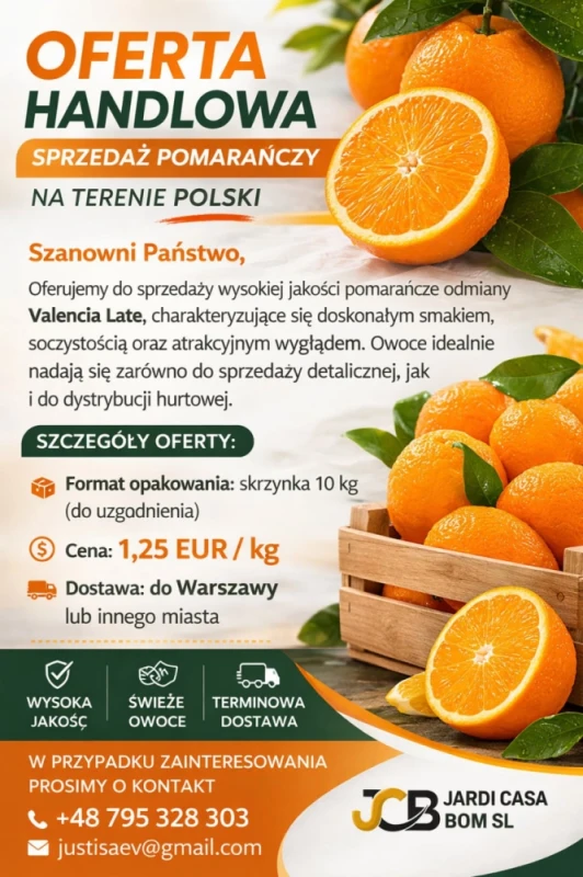 Oferta handlowa pomarańcze