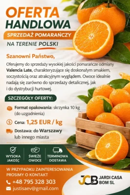 Oferta handlowa pomarańcze