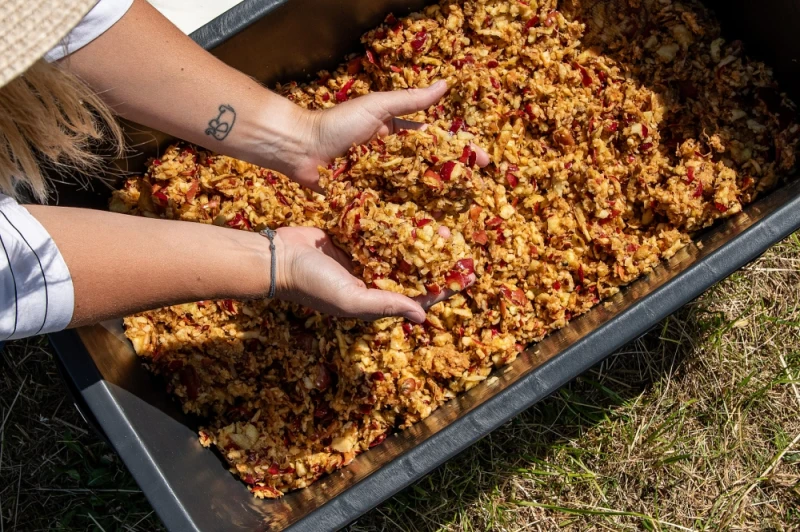 Rozdrabniacz do owoców i warzyw.