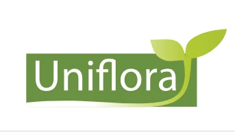 Uniflora Sp. z o.o. Kiełki