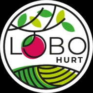 Lobo s.c. Hurtownia warzyw i owoców
