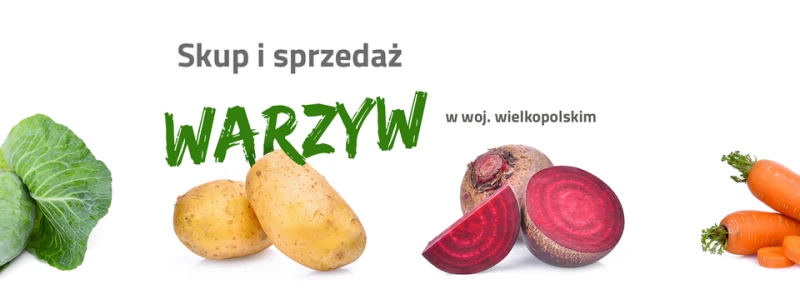 MacPol - Skup Warzyw i Sprzedaż Hurtowa Warzyw