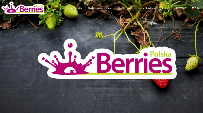 Berries Polska - Tłocznia Soków