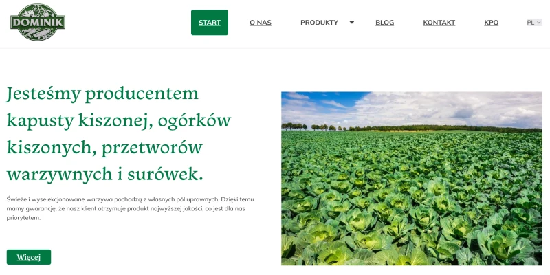 PUH DOMINIK Wiesława Pawlikowska