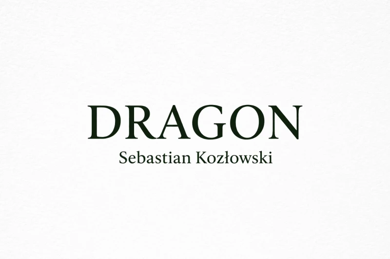 DRAGON Sebastian Kozłowski